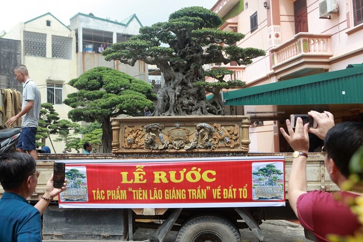“Chấn động” tác phẩm 28 tỷ đồng được “biến hóa” từ ngọn cây tưởng bỏ đi - 3