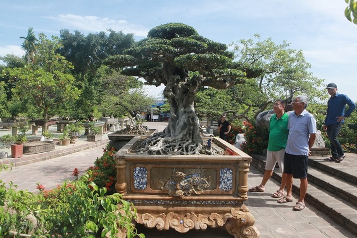 “Chấn động” tác phẩm 28 tỷ đồng được “biến hóa” từ ngọn cây tưởng bỏ đi - 8