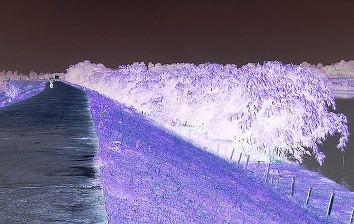 Chân dung giang hồ Thịnh mắt ma: Bí ẩn chiếc ô tô cháy rụi giữa triền đê - 2