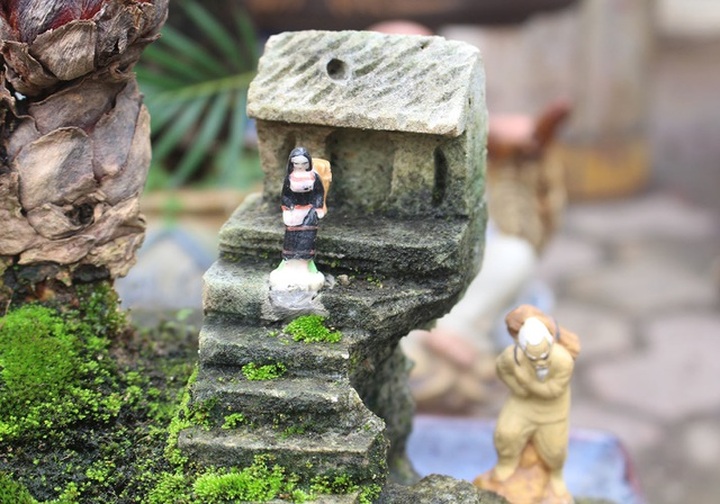 Chán mai, ngán đào, nhiều thượng đế săn lùng mua vạn tuế bonsai chơi Tết - 10