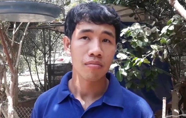 Chàng trai rước loài ong tí hon về nhà nuôi không ngờ thu bạc triệu - 2