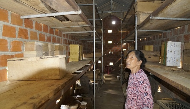 Chàng trai rước loài ong tí hon về nhà nuôi không ngờ thu bạc triệu - 4