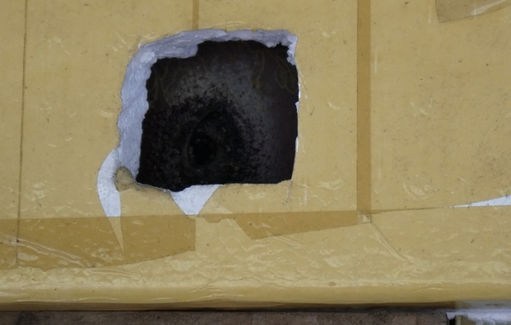 Chàng trai rước loài ong tí hon về nhà nuôi không ngờ thu bạc triệu - 5