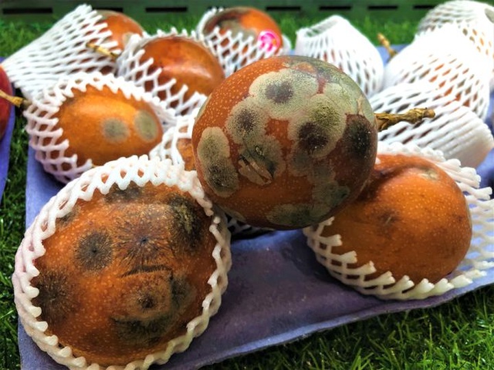 Chanh leo Colombia mốc meo giá gần triệu bạc/kg “cháy hàng” trong ngày hè nắng nóng - 1