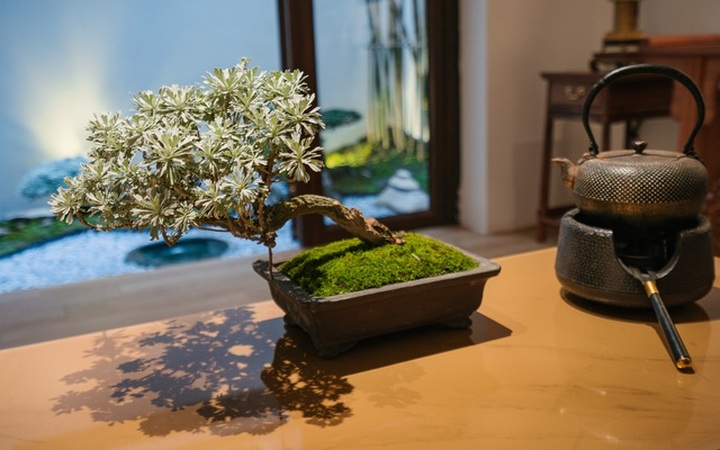 Chi 900 triệu đồng cải tạo nhà phố tồi tàn, nhìn thành quả ai cũng bất ngờ - 4