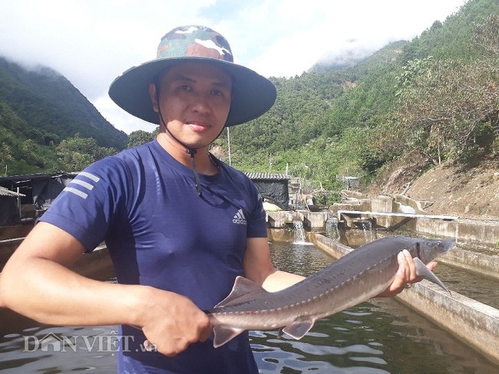 Chỉ huy hàng vạn con cá “quý tộc” không xương, 9X Lai Châu thu cả tỷ đồng - 1