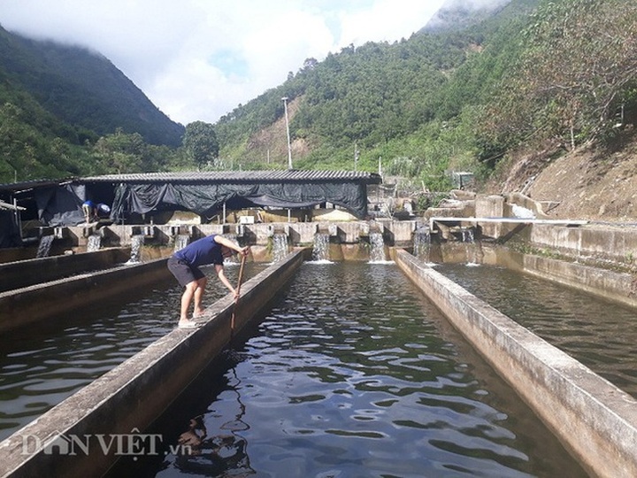 Chỉ huy hàng vạn con cá “quý tộc” không xương, 9X Lai Châu thu cả tỷ đồng - 3