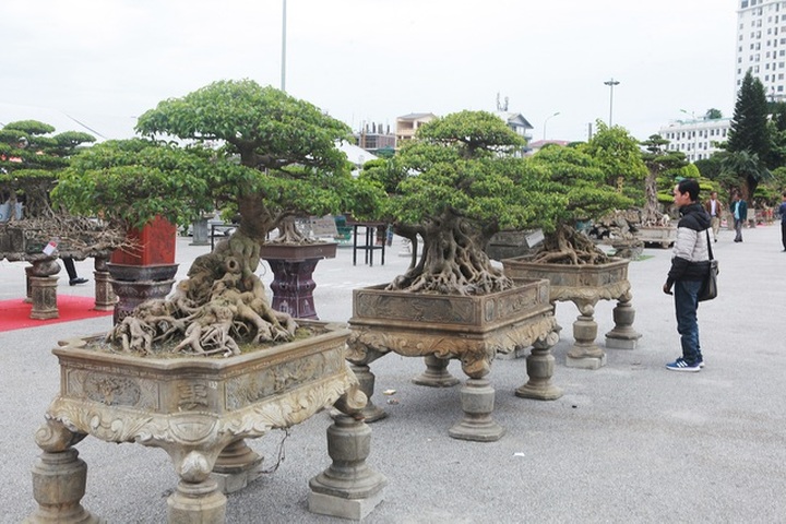 Chiêm ngưỡng bộ sanh cổ hơn 10 tỷ đồng, đại gia hỏi mua nhưng không bán - 2