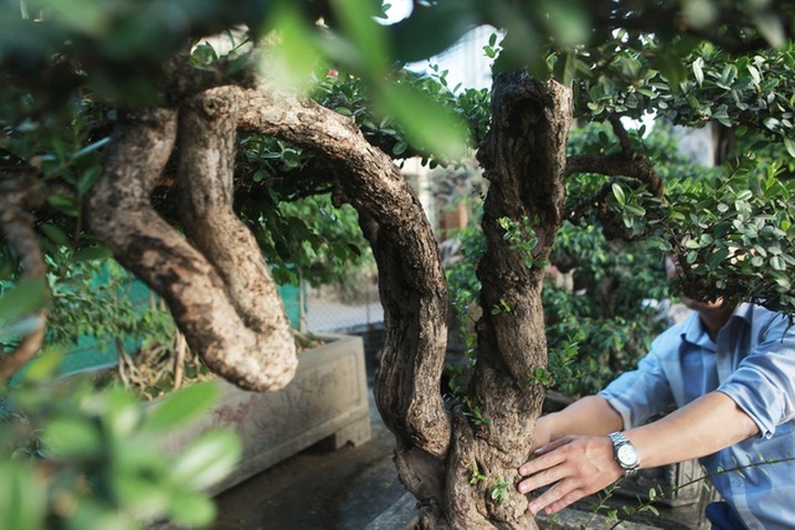 Chiêm ngưỡng hòn ngọc Viễn Đông giá tiền tỷ độc nhất vô nhị ở Việt Nam - 7