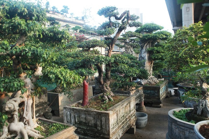 Chiêm ngưỡng hòn ngọc Viễn Đông giá tiền tỷ độc nhất vô nhị ở Việt Nam - 9