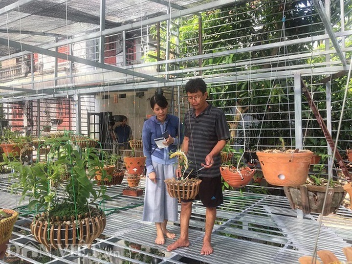 Chiêu lừa bán lan đột biến tiền tỷ quá tinh vi khiến dân chơi lan tán gia bại sản - 1