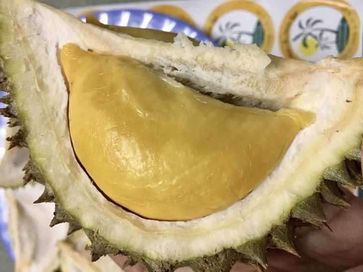 Chợ mạng dậy sóng với sầu riêng mini, cầm thọt lỏm trong lòng bàn tay - 2