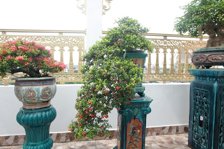 Choáng ngợp với bộ sưu tập “Hòn ngọc Viễn Đông” tiền tỷ giữa lòng Hà Nội - 10