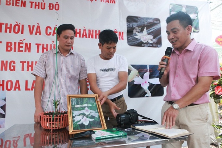 Choáng những giỏ hoa lan đột biến hiếm thấy ở Hà Nội, giá hàng trăm triệu - 15