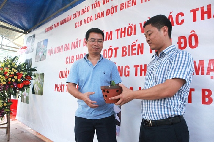 Choáng những giỏ hoa lan đột biến hiếm thấy ở Hà Nội, giá hàng trăm triệu - 7