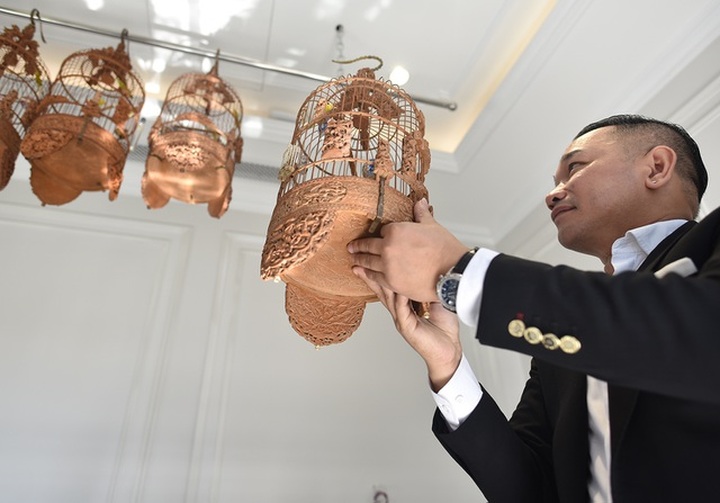 Chú chim 10 màu độc nhất Việt Nam, trả nửa tỷ đồng một con cũng không bán - 3