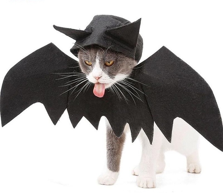 Chủ nhân rút hầu bao, chi đậm sắm đồ Halloween cho thú cưng - 2