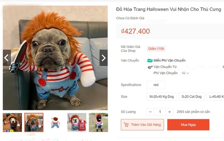 Chủ nhân rút hầu bao, chi đậm sắm đồ Halloween cho thú cưng - 4