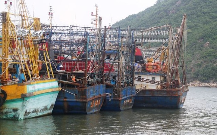 Chủ tàu 67 “cầu cứu” vì công ty bảo hiểm ngừng bán bảo hiểm tàu cá - 1