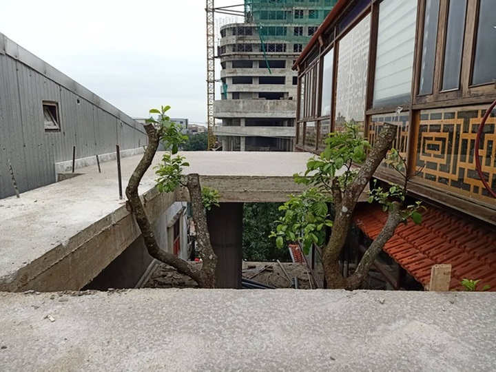 Chuỗi ngày không ngủ của ông chủ ngôi nhà gỗ 30 tỷ vừa tậu cặp cây khủng - 14