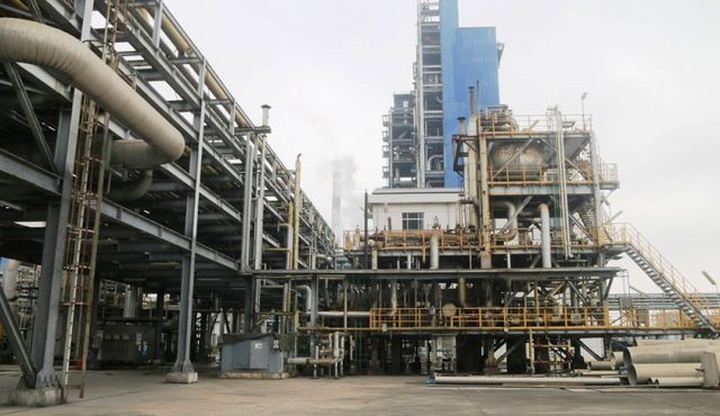 Chuyên gia Phạm Chi Lan: Đừng cố cứu những doanh nghiệp... chết - 1