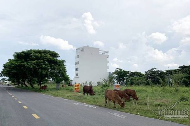 Chuyện lạ ở TP.HCM: Nơi giá đất 300 triệu đồng/m2, biệt thự xây dở không người ở - 6