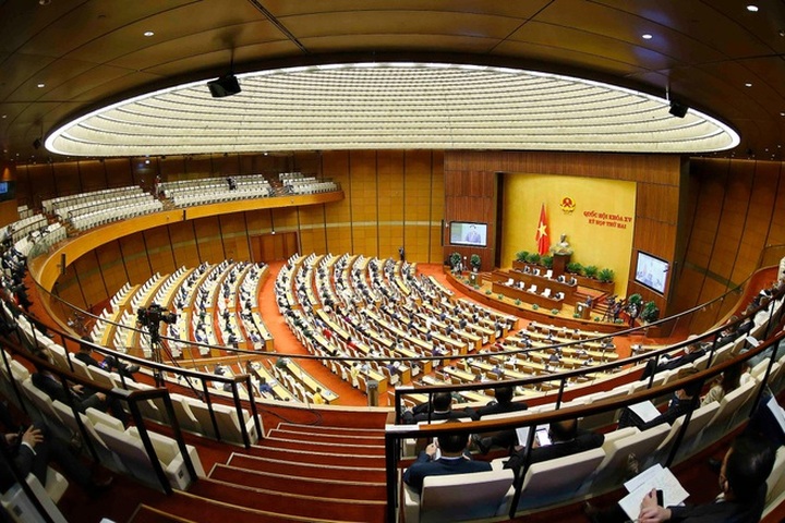 Có nên để tỉnh tự chuyển đất rừng, trồng lúa không phải trình Thủ tướng? - 1