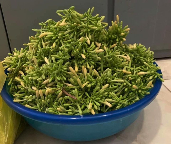 Cọ nếp, hoa đu đủ: Thứ quà đồng quê khiến dân Hà thành phát sốt mê mẩn - 2