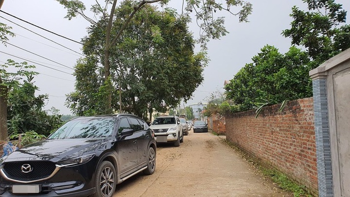 Cò thổi giá làm náo loạn vùng quê, nhiều nơi sốt đất bất thường - 1