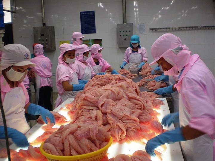 
Cuộc chiến thương mại Mỹ-Trung có thể tạo ra cơ hội để VN tăng xuất khẩu vào Mỹ,  đặc biệt là sản phẩm cá tra. Ảnh: Gia Tuệ
