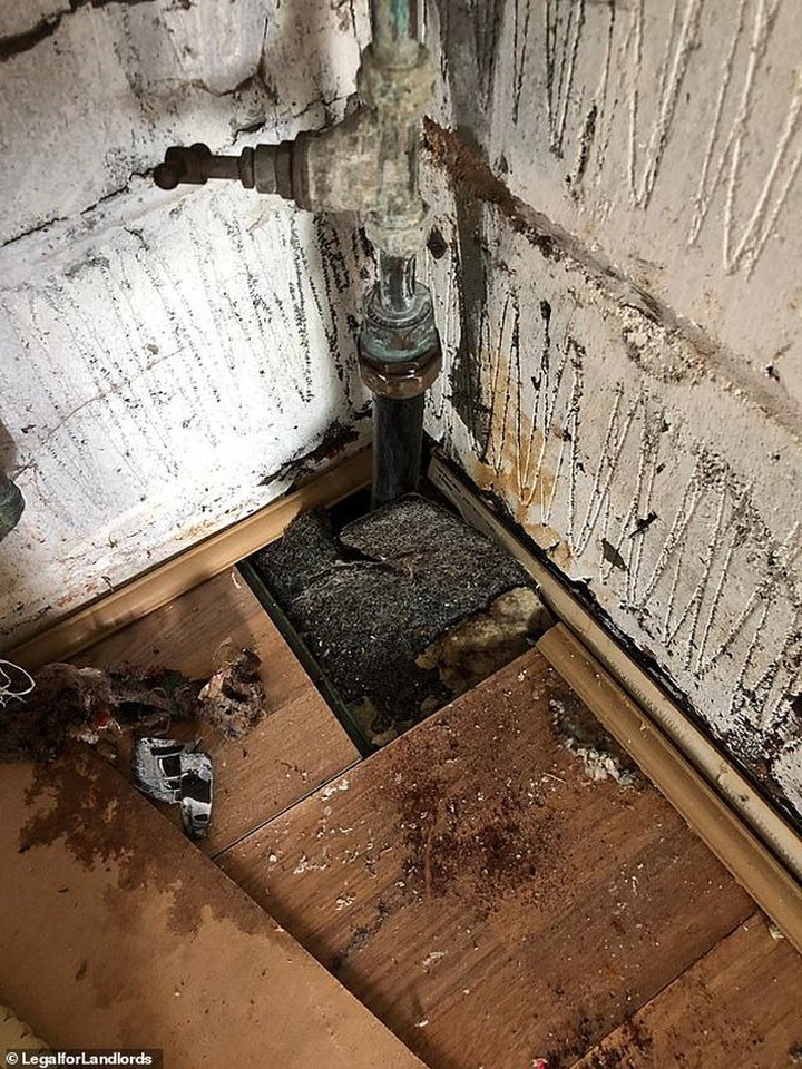 Cơn ác mộng của chủ trọ với căn nhà đầy rác thải và người thuê trọ trốn nợ - 1