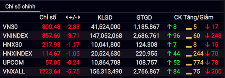 Công ty bà Thanh Phượng ăn nên làm ra nhờ cơn sốt đầu tư chứng khoán - 2
