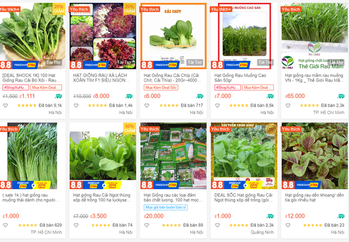 Cửa hàng bán hạt giống rau ăn nên làm ra, phát tài trong mùa dịch - 4