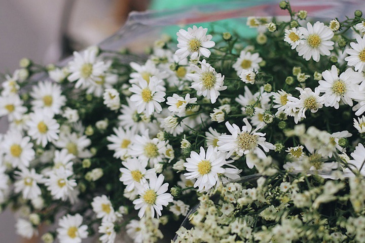 Đầu vụ, mỗi gánh hàng hoa bán được từ 30-40 bó nhỏ/ ngày