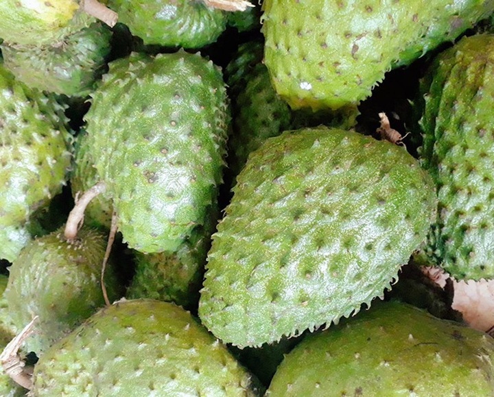 Đặc sản lạ Sóc Trăng: Loại trà không làm từ cây chè, giá 1 triệu đồng/kg - 1