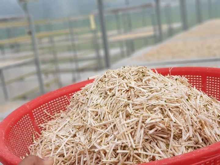 Đặc sản lạ Sóc Trăng: Loại trà không làm từ cây chè, giá 1 triệu đồng/kg - 3