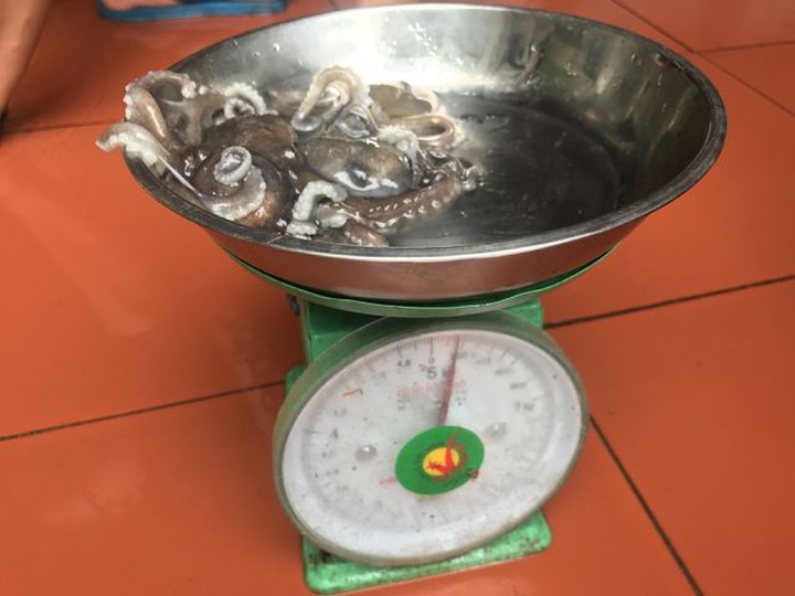Đặc sản ruốc chân dài đắt đỏ giá cả triệu bạc mỗi kg - 5