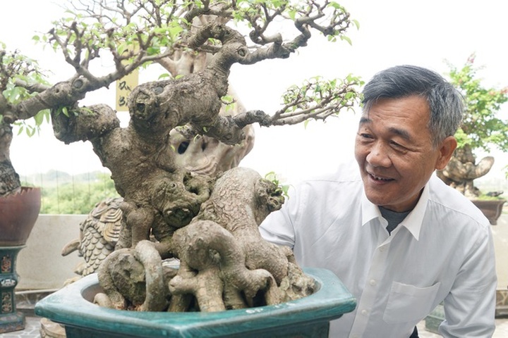 Đại gia chi gần 10 tỷ đồng mua cây cảnh đặt trên sân thượng ngắm mỗi ngày - 13