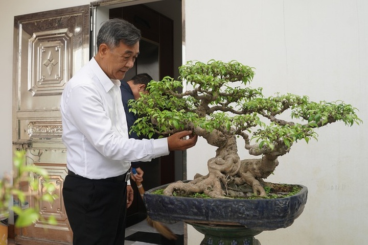 Đại gia chi gần 10 tỷ đồng mua cây cảnh đặt trên sân thượng ngắm mỗi ngày - 7