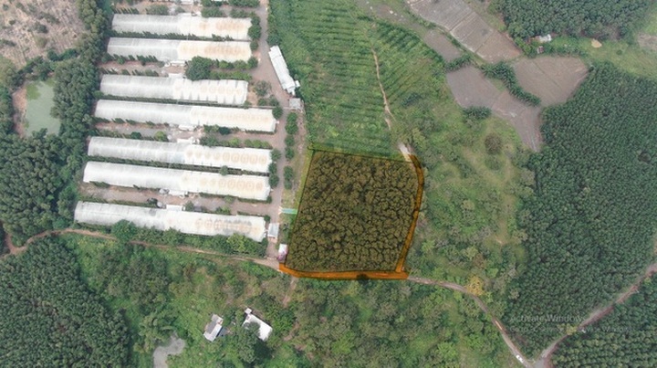 Đại gia chơi lớn, bỏ 30 tỷ đồng mua đất sân bay Long Thành làm nhà vườn - 4