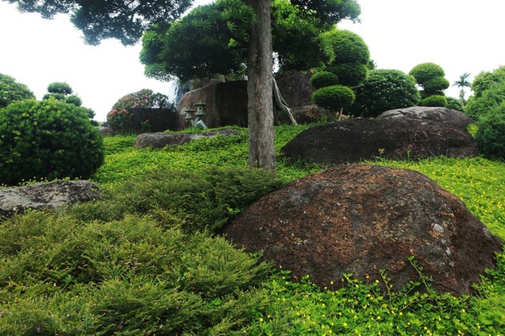 Đại gia làm hồ cá Koi, đồi nhân tạo bằng 100 tấn “đá bán quý” - 4