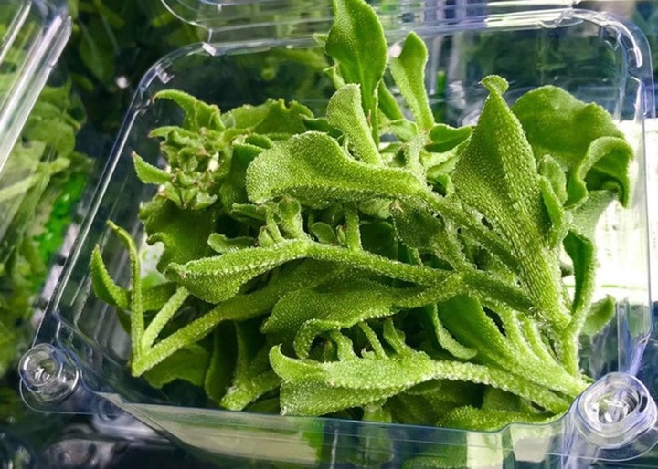 Dân Hà Nội lùng mua rau kim cương, đồ lạ mới về giá đắt, cháy hàng - 3