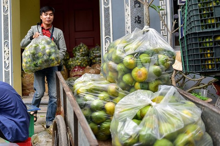 Dân Thủ đô giải cứu quýt sạch cho nông dân Nghệ An - 7