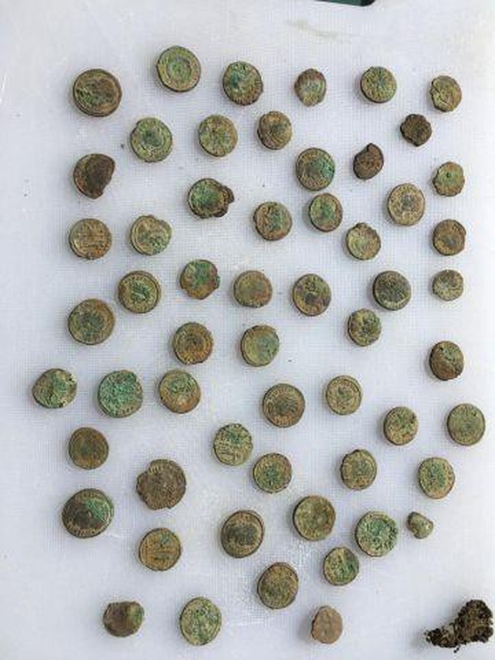 Những đồng xu mà bộ đôi này đào được.