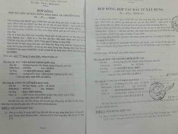 giam dinh hop dong.jpg