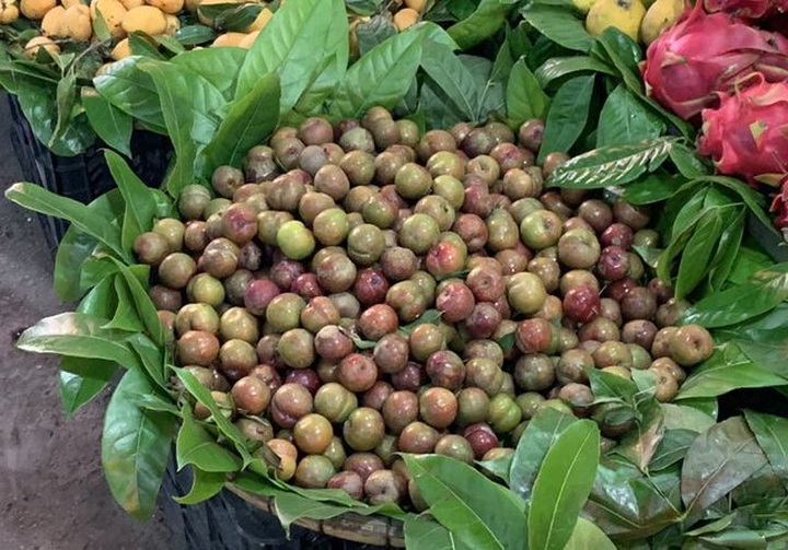 Đắt gấp đôi hàng ngoại, mận Việt chua chát 300 ngàn đồng/kg vẫn cháy hàng - 1