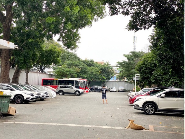 Đất vàng hàng ngàn tỷ đồng thành bãi giữ xe, bán cây cảnh - 2