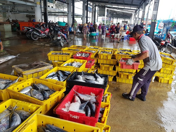 Đề xuất mới về việc vay tiền trả lương thu hút sự quan tâm bạn đọc tuần qua - 5