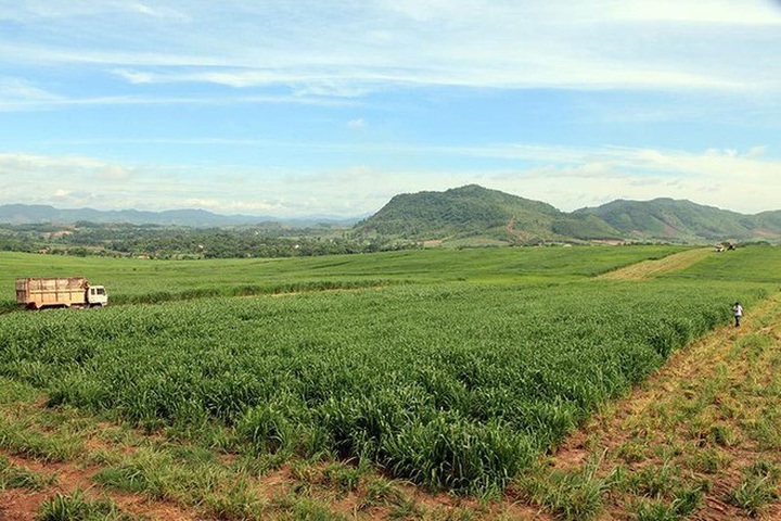 Đề xuất sửa đổi 11 nhóm chính sách về đất đai - 1