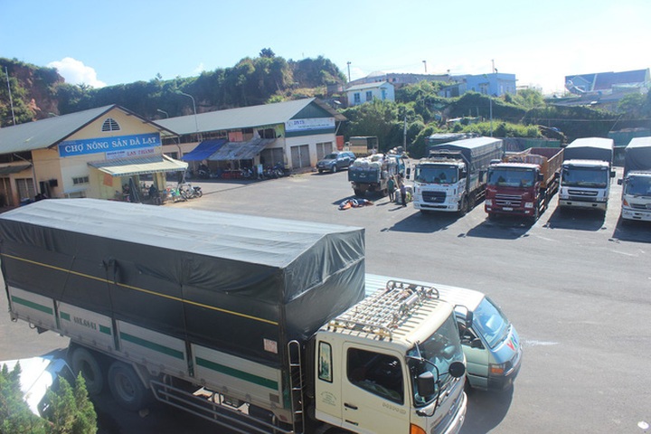 Hàng trăm tấn nông sản Trung Quốc được tập kết tại chợ nông sản Đà Lạt sau khi sơ chế, được xuất đi các thị trường tiêu thụ